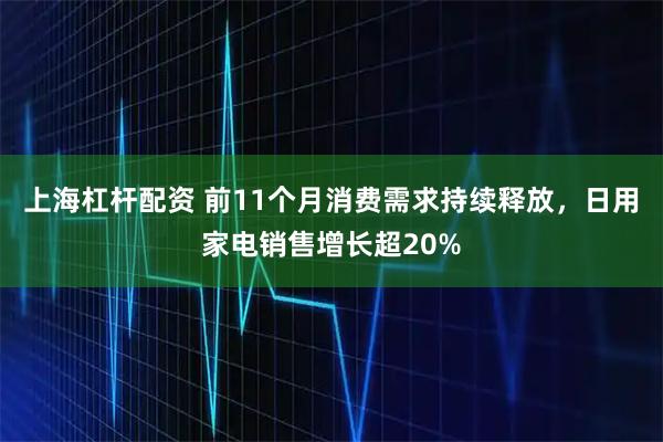 上海杠杆配资 前11个月消费需求持续释放,日用家电销售增长超20%