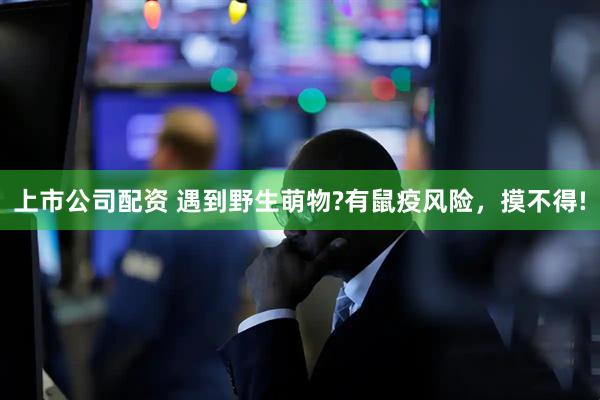 上市公司配资 遇到野生萌物?有鼠疫风险，摸不得!